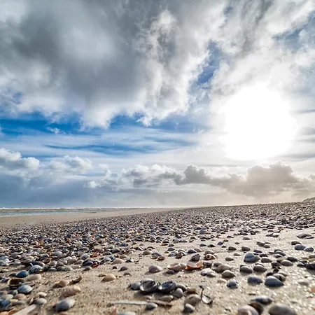 Strandhaus 8 Dg Διαμέρισμα