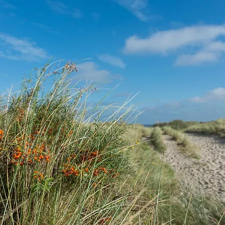 Διαμέρισμα Strandhaus 8 Dg *