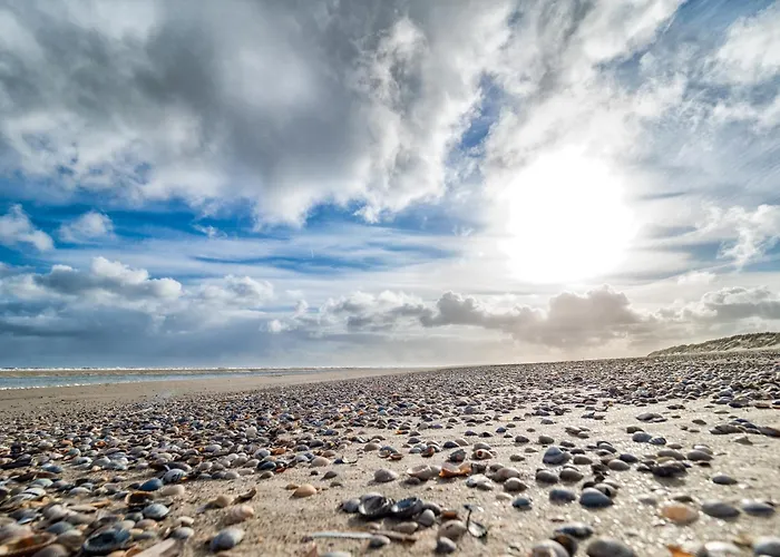 Strandhaus 8 Dg Апартаменты